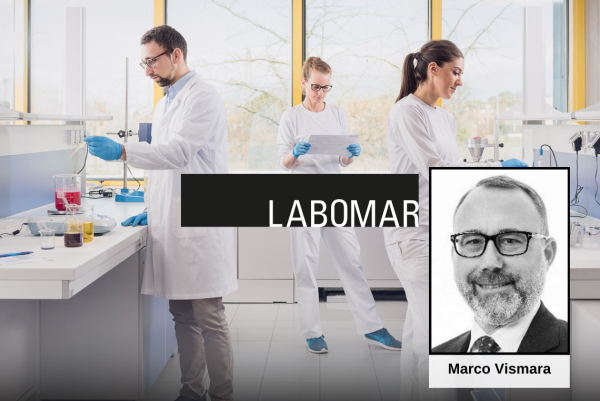 When Entrepreneurship and M&A generate success: the Labomar case