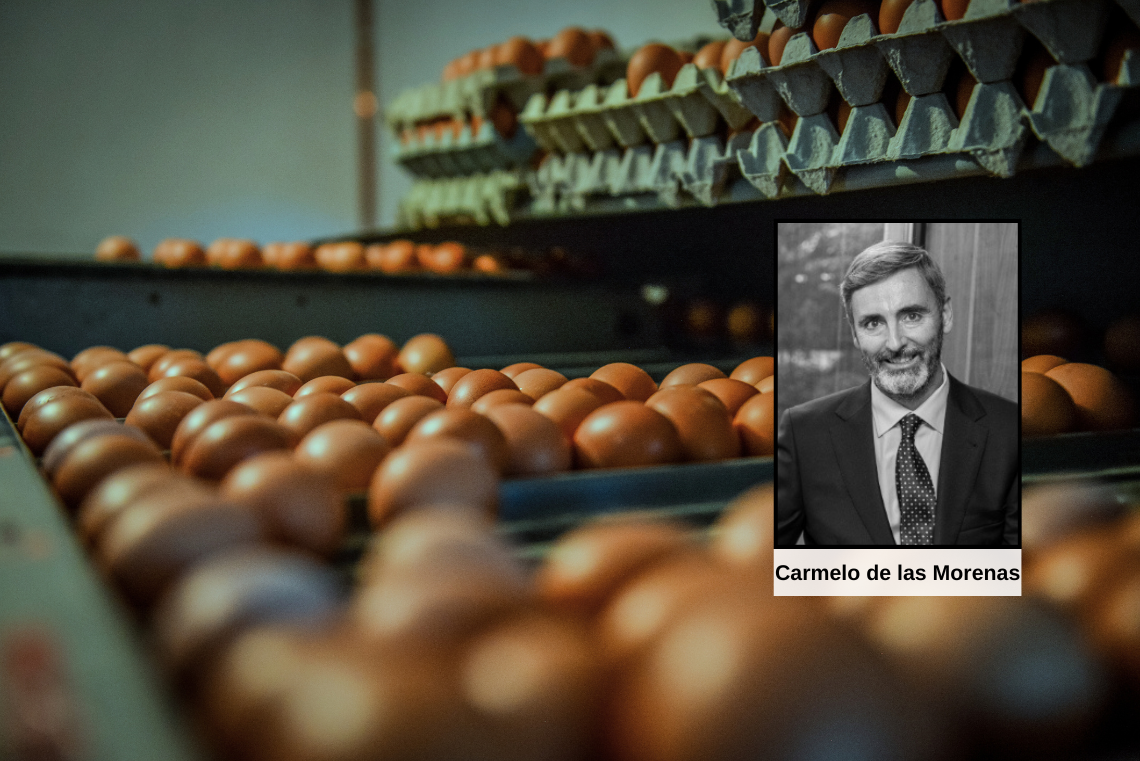 The Great Egg Grab: How Surging Egg Prices Are Fueling Global Egg M&A